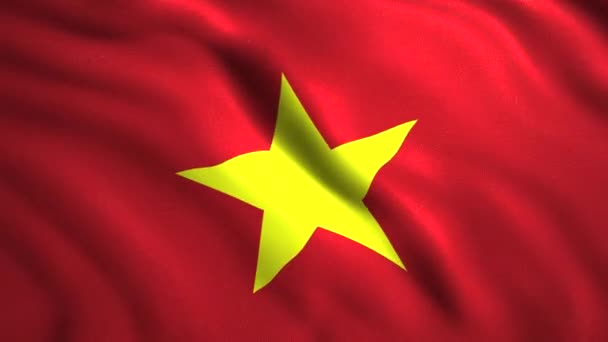 De vlag van Vietnam De rode vlag van Vietnam met een gele ster in het midden. — Stockvideo
