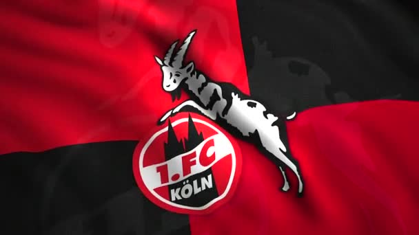 Köln 'deki Alman profesyonel futbol kulübünün hareketli bayrağını kusursuz bir şekilde sallayarak kapat. Hareket. Spor anlayışı. Sadece yazı işleri için.. — Stok video