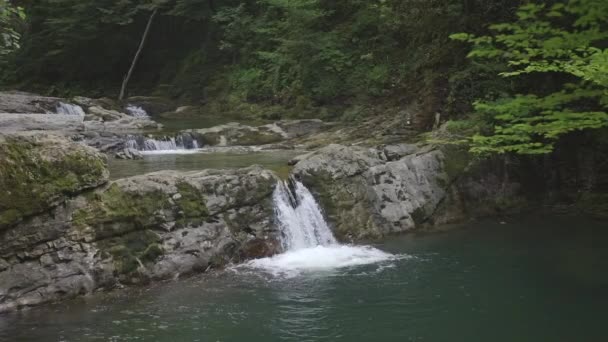 En liten kaskad och vattenfall i lummig grön skog. Design. Naturlig bakgrund med ett vattenfall och gröna träd. — Stockvideo