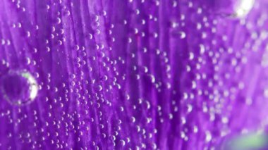 Mor çiçek yaprağı bulanıklaşıyor. Stok görüntüleri. Bir leylağa çok yakın. Yumuşak, güzel bir çiçek yaprağı. Şeffaf sudaki küçük hava kabarcıklarıyla kaplı..