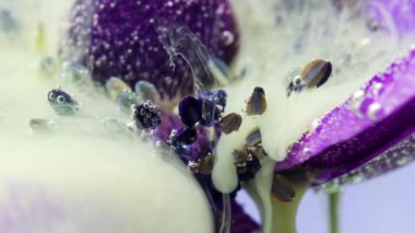 Çiçek yapraklarının üzerindeki sisin yakın plan görüntüsü. Stok görüntüleri. Yoğun sis ya da mürekkep çiçek yapraklarının üzerine akar. Suyun altında mürekkebi olan güzel parlak bir çiçek.