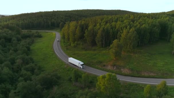 Вид зверху на красиве шосе з вантажівкою в лісистій місцевості. Сцена. Трейлер на білій вантажівці їде по сільському шосе. Красивий краєвид шосе серед зеленого лісу в літній день — стокове відео