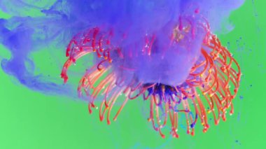 İzole edilmiş arkaplanda mürekkep olan çiçek. Stok görüntüleri. Güzel egzotik bir çiçek, suyun altında mürekkeple birlikte. Çiçek tomurcuklu mürekkep yağı sanatı