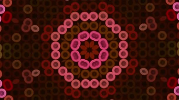 다색 모션 그래픽 배경을 가진 Kaleidoscope 원활한 루프 패턴입니다. 미디어요. 작은 원을 가진 마법 만다라. — 비디오
