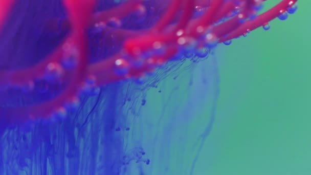 A bright flower in abstraction.Stock footage. A bright background on which a flower is lowered into the water and it opens and bubbles envelop it. — Stock Video