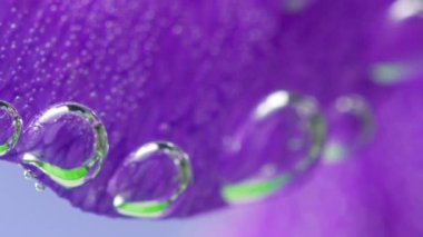 Parlak çiçek yaprakları kabarcıklarına yakın çekim. Stok görüntüleri. Yaprakların kenarlarında oksijen kabarcıkları var. Su altında parlak çiçek yaprakları üzerinde güzel kabarcıklar