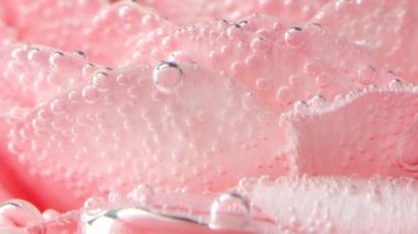 Çiçek açan bir çiçek. Tak görüntüsü. Su damlacıklarıyla kaplı taç yapraklarında buna izin veriliyor..