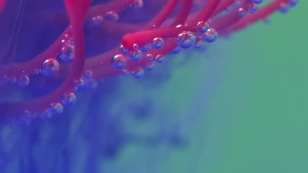 Jasne tło.Stock footage.The woda jest wypełniona fioletową farbą i farba delikatnie spada na różowe płatki koralowca. — Wideo stockowe