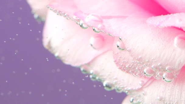 Jasne wody.Stock footage.A jasne tło w strzelaniu z pięknym kwiatem, który jest otoczony wodą. — Wideo stockowe