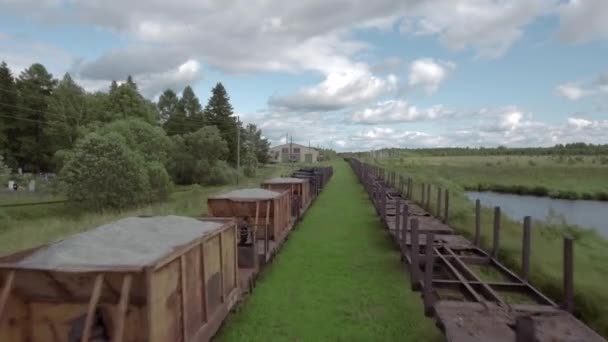 여름날 시골 지역의 공중 전망. 스톡 비디오. 녹색 초원과 나무로 둘러싸인 오래된 철도를 따라 뻗어 나무 건설. — 비디오