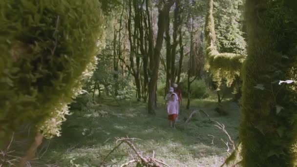 Niños turistas caminan en el bosque. Creativo. Dos niños y una mujer están caminando por la selva. Los turistas caminan en el bosque verde. Vídeo en cámara lenta de turistas de senderismo — Vídeos de Stock