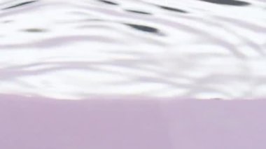 Kaynayan su ve çiçeklerin sanat atıcılığı. tock görüntüleri berrak suya batırılan ve yeşil yaprakların dışarı çıktığı alışveriş merkezleri çiçekleri..