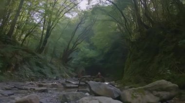 Ormandaki sığ nehir. - Yaratıcı. Yeşil ormanda taşların arasında bir dağ nehri var. Gökyüzü büyük yeşil ağaç dallarıyla kaplıdır. güzel dağ manzarası