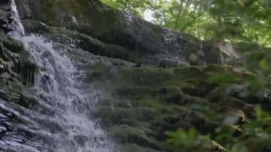 Bir su akıntısı yavaşça kayalardan aşağı akar. - Yaratıcı. Nehrin akışı dağlardaki taşların üzerinden akıyor. Ormanda yavaş bir dere akıyor.