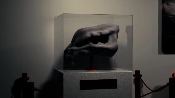 Vue du musée sur l'exposition avec des murs blancs.Concevoir.Une animation lumineuse accrocheuse où un monument clôturé de verre est visible et une image lumineuse est visible. — Video