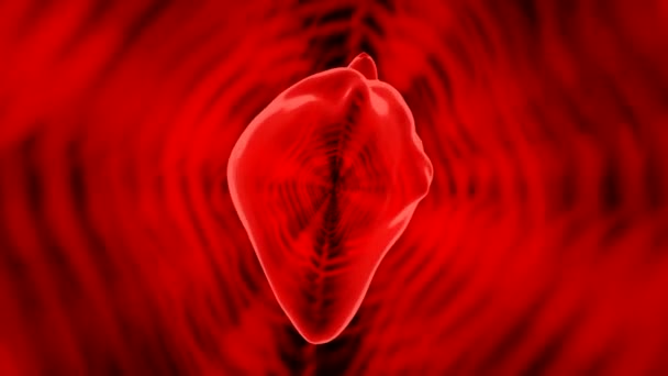 3D心脏发光和跳动。设计。人类的心脏闪烁着光芒,猛烈地跳动.红色3D心和辐射动画 — 图库视频影像