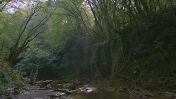 Shallow river in the jungle. CREATIVE. In the green jungle runs a mountain river in the stones. The sky is covered with large heavy green branches of trees. beautiful mountain landscape — Stock Video