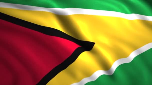 Guyanas flagga viftar i vinden. Rörelse. Nationell flagga med mycket detaljerad textur fladdrar i vinden. — Stockvideo