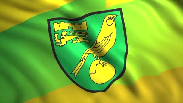 Futbol kulübü logolu bayrak animasyonu. Hareket. Üzerinde güzel bir futbol kulübü logosu olan bayrak sallıyor. İngiliz futbol kulübü Norwich City 'nin 3D bayrağıyla arka plan — Stok video