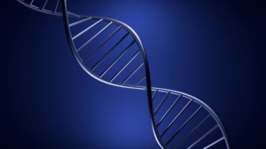 Bükülmüş 3 boyutlu DNA sarmalı. Tasarım. DNA 'nın metalik yapısı izole bir zeminde hareket eder. Hareket eden DNA 'nın 3 boyutlu animasyonu. Biyolojik ya da bilimsel animasyon. 