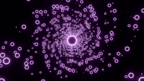 Arrière Plan Noir Design Des Cercles Violets Rouges Lumineux Dans — Video