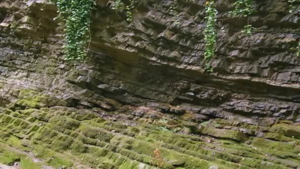 夏天的岩石悬崖上覆盖着绿色苔藓 绿色悬挂植物和石坡绿色苔藓 — 图库视频影像