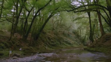 Küçük insanlar ve vahşi orman. Yaratıcı. İnsanlar yazın nehirle birlikte büyük vahşi ormanda yürürler. Küçük nehir ve sık yeşil ormanlı bir manzara. Vahşi ormanlık alanda yürüyüş.. 