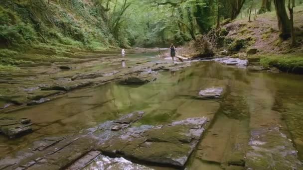 小矮人和野生森林创意 夏天人们在有河流的大森林里散步 风景与小河和茂密的绿色森林 在野生林地远足 — 图库视频影像