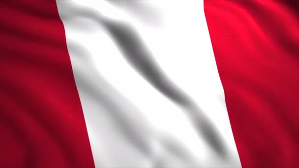 Bandera Brillante Perú Motion Una Bandera Dos Colores Animación Que — Vídeos de Stock