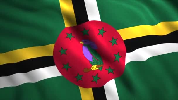 ドミニカの国旗 モーション 旗は3本の縞の十字で構成されており 緑色の背景にあり 真ん中には赤い円の円の円が描かれています 高品質の4K映像 — ストック動画