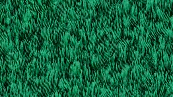 Zwarte Achtergrond Ontwerp Groene Paarse Algen Abstractie Bewegen Zwaaien Hoge — Stockvideo