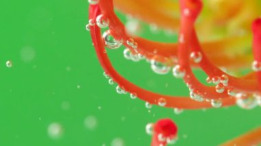 Suyun altında kabarcıklar olan güzel çiçekleri yakından çek. Stok görüntüleri. Suyun altında erkek organları olan parlak bir çiçek. Su altında baloncukları olan egzotik bir çiçek..