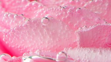 Baloncuklu gül yapraklarının yakın çekimi. Stok görüntüleri. Suyun altında güzel pembe gül yaprakları. Köpüklü, berrak suda gül yaprakları.. 