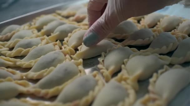 Dumplingar Bakplåten Klipp Massor Läckra Dumplings Brädor Färdiga Dumplings För — Stockvideo