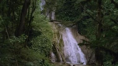 Yeşil ağaçlı ormanlar ve yaz günü şelale. Yaratıcı. Yoğun ormanda güzel bir şelale