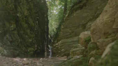 Ormandaki göllü Rocky Vadisi. Yaratıcı. Yeşil ormanda şelalesi olan dar bir vadi. Yazın vahşi ormanda suyla dolu güzel dar bir vadi.. 