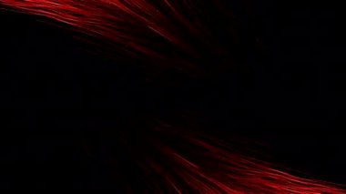 Siyah arka planda izole edilmiş sihirli uçan kanatlar. Hareket. Parlak cennet kuş kanatları ya da tüyleri