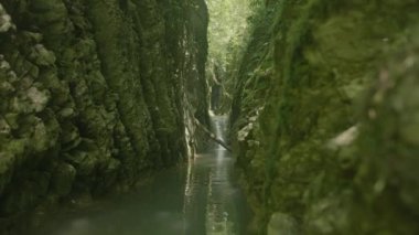Dağlar arasındaki yeşil dar geçitle göz kamaştırıcı doğal bir arka plan. Yaratıcı. Dağlarda yeşil bir nehir Bir yaz günü gölgede saklanır