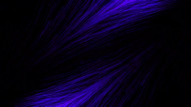 Soyut güzel renkli tüyler siyah bir arka planda görünür ve kaybolur. Hareket. Güzel bir kuşun tüyleri