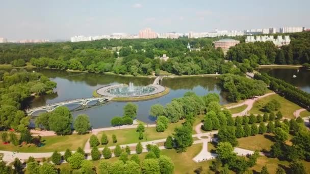 Vista Aérea Uma Grande Lagoa Arbustos Árvores Parque Cidade Criativa — Vídeo de Stock