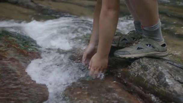 孩子们在河里手拉手 孩子把手伸进山溪里 孩子们在山林溪流中洗手 — 图库视频影像