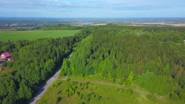 Vista Aérea Uma Bela Floresta Verde Verão Uma Estrada Estreita — Vídeo de Stock