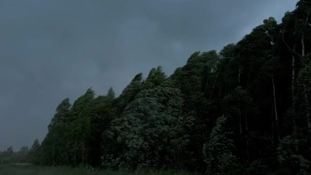 Naturlandschaft Vor Dem Sturm Starker Wind Und Schwankende Bäume Kreativ — Stockvideo