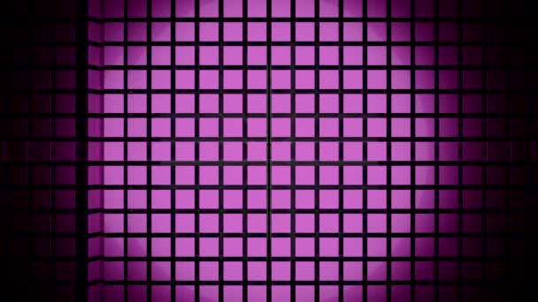 垂直移動波を持つ同じサイズの正方形の抽象的なピンクの壁 デザイン 円形のライトスポットを備えたキュービックな形の背景 — ストック動画