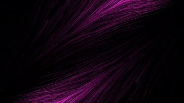 在黑色背景上平行流动的能量线 能量线在明亮的流中运动 能量空间中卷曲线的流量 — 图库视频影像