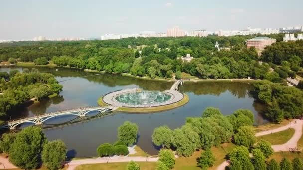 宮殿公園の湖と美しい橋のトップビュー クリエイティブ 宮殿に橋と島がある公園と湖の風景 ツァルサルノ宮殿の博物館リザーブ — ストック動画