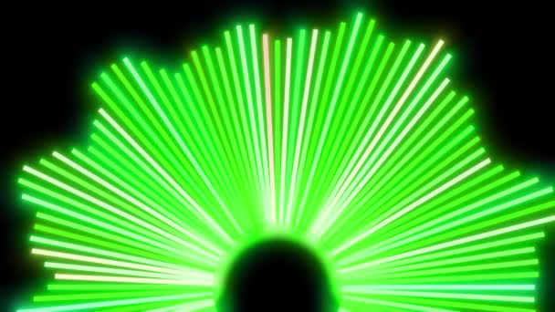 Soundgrafik Equalizer Blinkende Lichter Nahtlose Schleife Design Anzeige Des Audio — Stockvideo