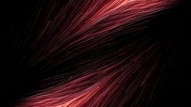 在黑色背景上平行流动的能量线 能量线在明亮的流中运动 能量空间中卷曲线的流量 — 图库视频影像