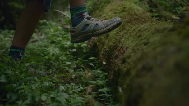 Πλευρική Άποψη Ενός Ταξιδιώτη Αγόρι Πόδια Περπάτημα Στο Δάσος Ανεβαίνει — Αρχείο Βίντεο