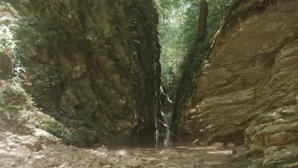 森に湖があるロッキーなゴージャス クリエイティブ 緑の森に滝がある小さな狭いゴージャス 夏の野生林の水で美しい狭いゴージャス — ストック動画